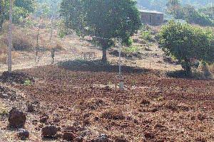 Agricultural/Farm Land for Sale in Mangaon, Raigad