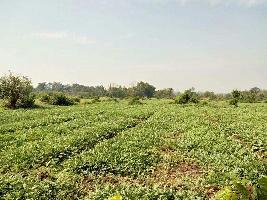 Residential Plot for Sale in Mangaon, Raigad