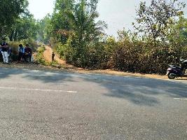 Residential Plot for Sale in Mangaon, Raigad
