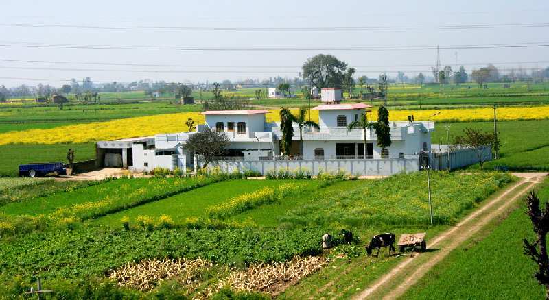 2 BHK Farm House for Sale in Pali, Raigad (16000 Sq.ft.)