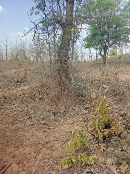 Property for sale in Badwara, Katni