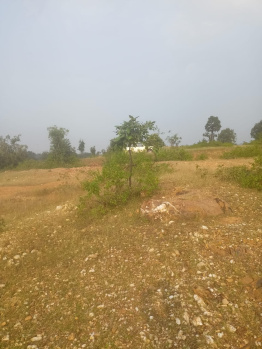 Agricultural/Farm Land for Sale in Beohari, Shahdol (120 Acre)