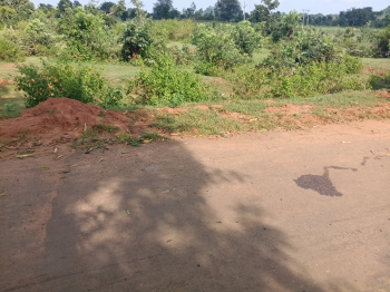 Property for sale in Balpurwa, Shahdol