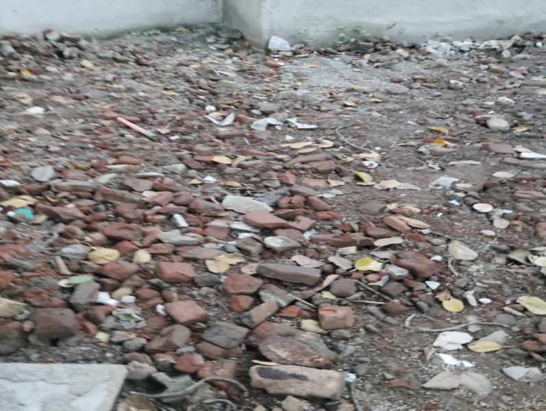 Residential Plot For Sale In Chandia, Umaria (4000 Sq.ft.)