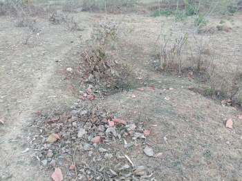 Commercial Lands /Inst. Land for Sale in Khalesar, Umaria (1.58 Acre)