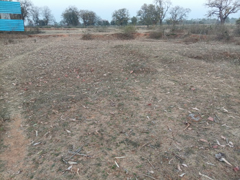 Agricultural/Farm Land for Sale in Khalesar, Umaria (.543 Acre)