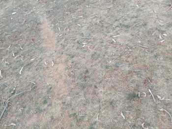 Property for sale in Khalesar, Umaria