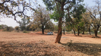 Property for sale in Beohari, Shahdol