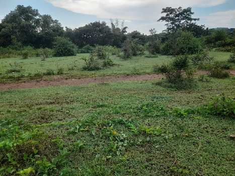 5 Acre Industrial Land / Plot for Rent in Nanjangud, Mysore