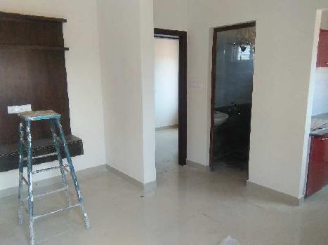 1 BHK Flats & Apartments for Rent in Thanisandra, Bangalore (1000 Sq.ft.)