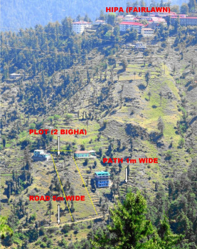 3 bhigha Land at Dhalli Shimla Road Head