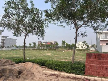 Property for sale in Sector 14 Panchkula