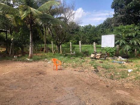 25 Cent Residential Plot for Sale in Elanthoor, Pathanamthitta