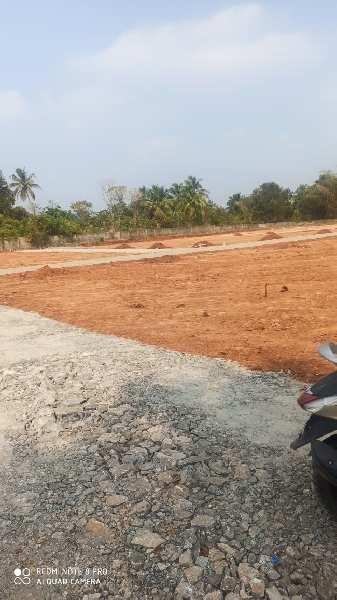15 Cent Residential Plot for Sale in Kanjikode, Palakkad