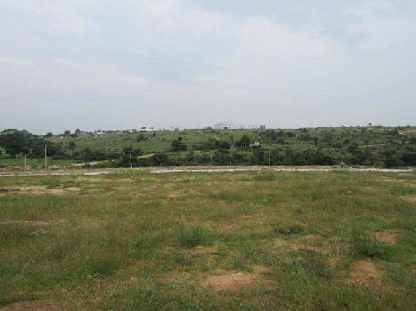100 Acre Agricultural/Farm Land for Sale in Denkanikottai Road, Hosur