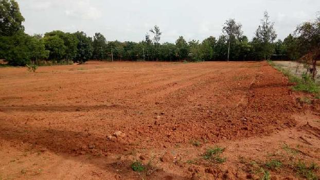 38 Acre Agricultural/Farm Land for Sale in Shoolagiri, Hosur