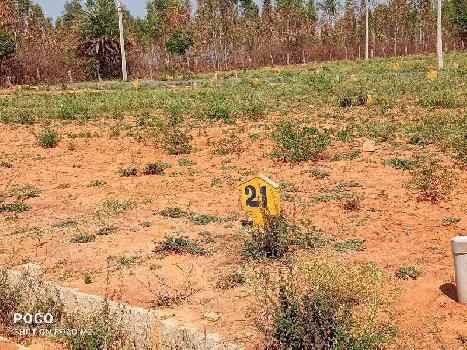 9 Cent Residential Plot for Sale in Olavakkode, Palakkad