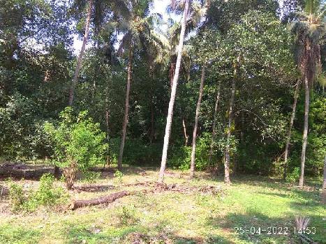 5.5 Cent Residential Plot for Sale in Kuzhalmannam, Palakkad