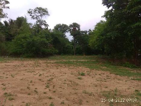 6.5 Cent Residential Plot for Sale in Kuzhalmannam, Palakkad