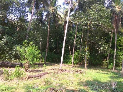 17 Cent Residential Plot for Sale in Kunathurmedu, Palakkad