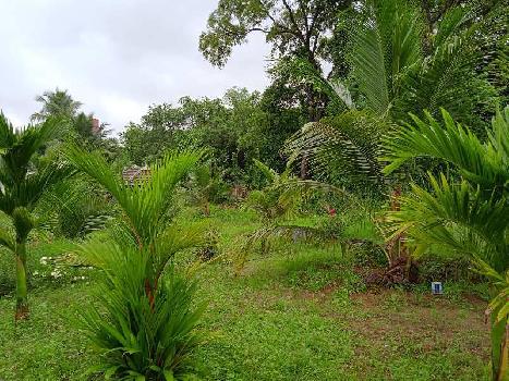 30 Cent Residential Plot for Sale in Manapullikavu, Palakkad
