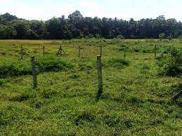 15 Cent Residential Plot for Sale in Mannarkkad, Palakkad