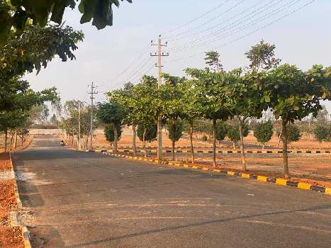 1200 Sq.ft. Residential Plot for Sale in Hoskote, Bangalore