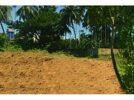 4 Cent Residential Plot for Sale in Kuzhalmannam, Palakkad