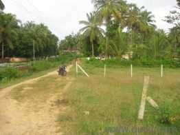 22 Cent Residential Plot for Sale in Kuzhalmannam, Palakkad