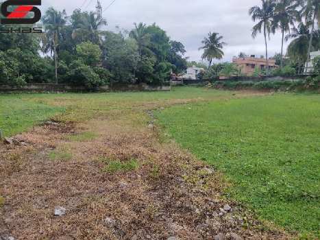 10 Cent Residential Plot for Sale in Kunathurmedu, Palakkad