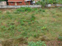 1.5 Acre Residential Plot for Sale in Kanjikode, Palakkad