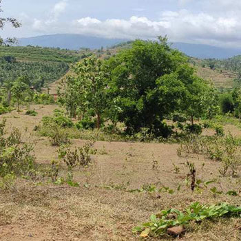 6 Cent Residential Plot for Sale in Chittur, Palakkad