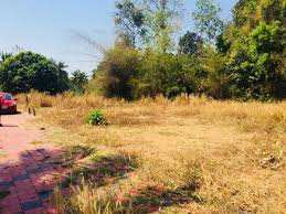 17 Cent Residential Plot for Sale in Kuzhalmannam, Palakkad