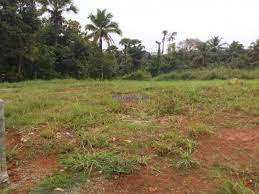 7 Cent Residential Plot for Sale in Chittur, Palakkad