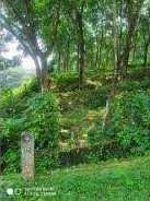 41 Cent Residential Plot for Sale in Kanjikode, Palakkad