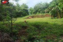 5 Cent Residential Plot for Sale in Chittur, Palakkad