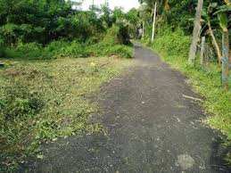 20 Cent Residential Plot for Sale in Kootupatha, Palakkad