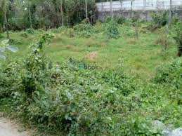 5 Acre Agricultural/Farm Land for Sale in Alathur, Palakkad