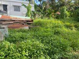 5 Cent Residential Plot for Sale in Kozhinjampara, Palakkad