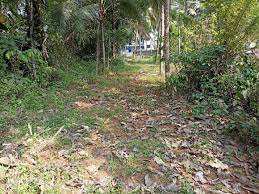 7 Cent Residential Plot for Sale in Kozhinjampara, Palakkad