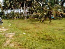 40 Cent Residential Plot for Sale in Kanjikode, Palakkad