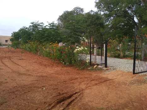 11250 Sq.ft. Agricultural/Farm Land for Sale in Hindupur, Bangalore