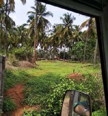 84 Cent Commercial Lands /Inst. Land for Sale in Sultanpet, Palakkad