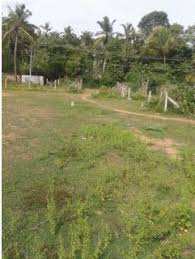 33 Cent Residential Plot for Sale in Palakkayam, Palakkad