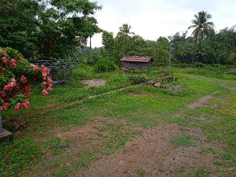 25 Cent Residential Plot for Sale in Chunnambuthara, Palakkad