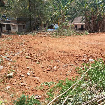 90 Cent Residential Plot for Sale in Sreekrishnapuram, Palakkad