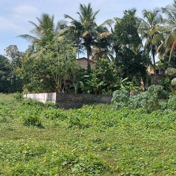12 Cent Residential Plot for Sale in Alathur, Palakkad