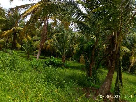 2 Acre Agricultural/Farm Land for Sale in Alathur, Palakkad