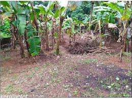 10 Cent Residential Plot for Sale in Puthur, Palakkad