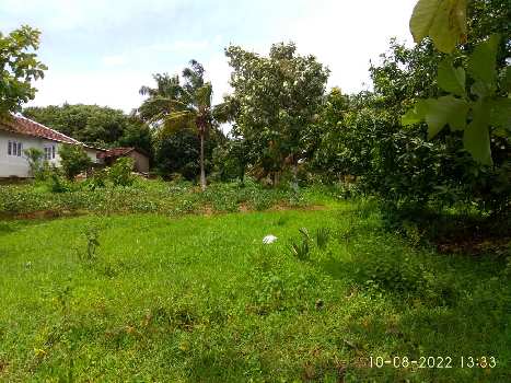 5 Acre Residential Plot for Sale in Vadakkencherry, Palakkad